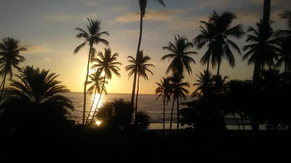 Oasi Encantada - Beach Resort Barahona Kültér fotó